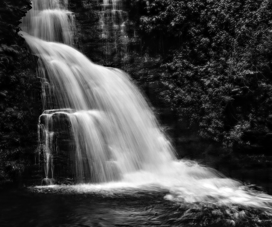 iafd rayne falls iafd rayne falls