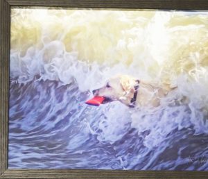 Framed painting of dog playing in the water